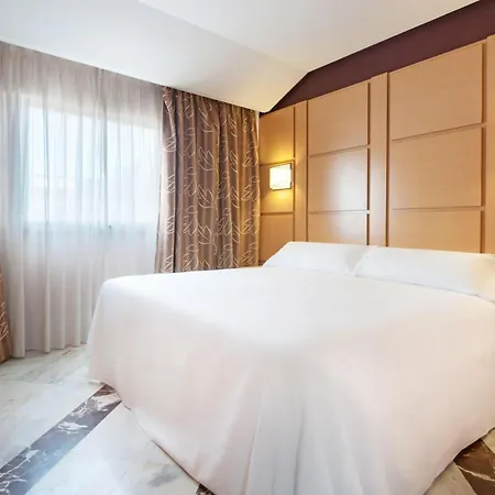 Hotel Puertollano Puertollano